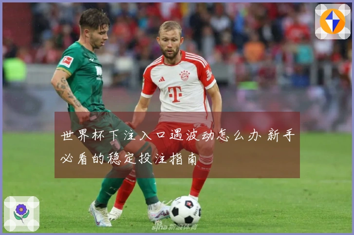 世界杯下注入口遇波动怎么办 新手必看的稳定投注指南