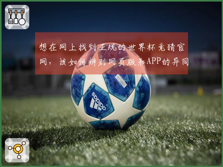 想在网上找到正规的世界杯竞猜官网，该如何辨别网页版和APP的异同？