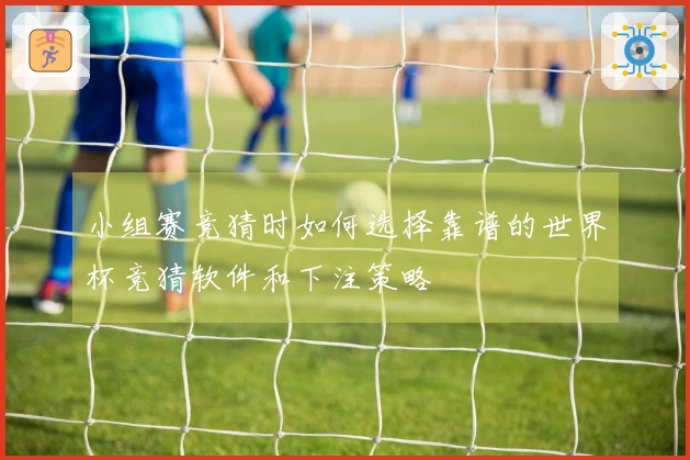 小组赛竞猜时如何选择靠谱的世界杯竞猜软件和下注策略