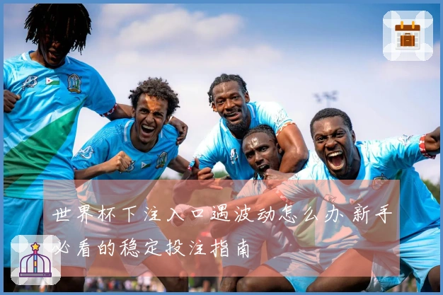 世界杯下注入口遇波动怎么办 新手必看的稳定投注指南