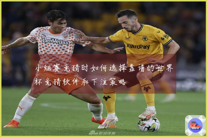 小组赛竞猜时如何选择靠谱的世界杯竞猜软件和下注策略